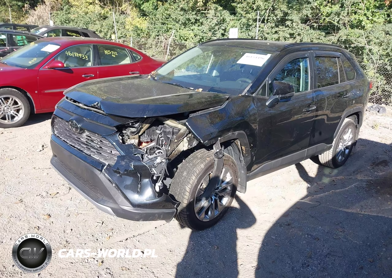 2019 Toyota Rav4 Limited VIN:2T3N1RFV9KW079872 - 2