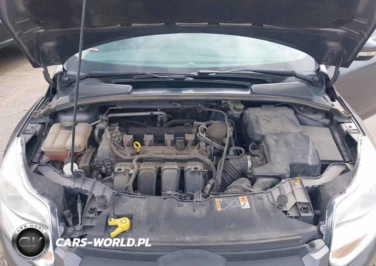 2014 Ford Focus Se VIN:1FADP3F23EL390482 - 10