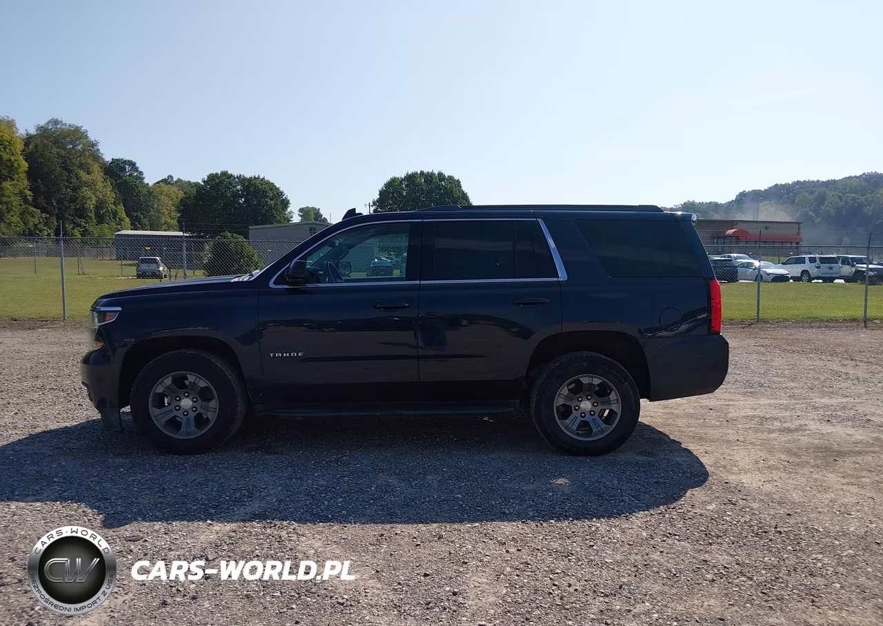 2020 Chevrolet Tahoe 4Wd Ls VIN:1GNSKAEC0LR118827 - 19