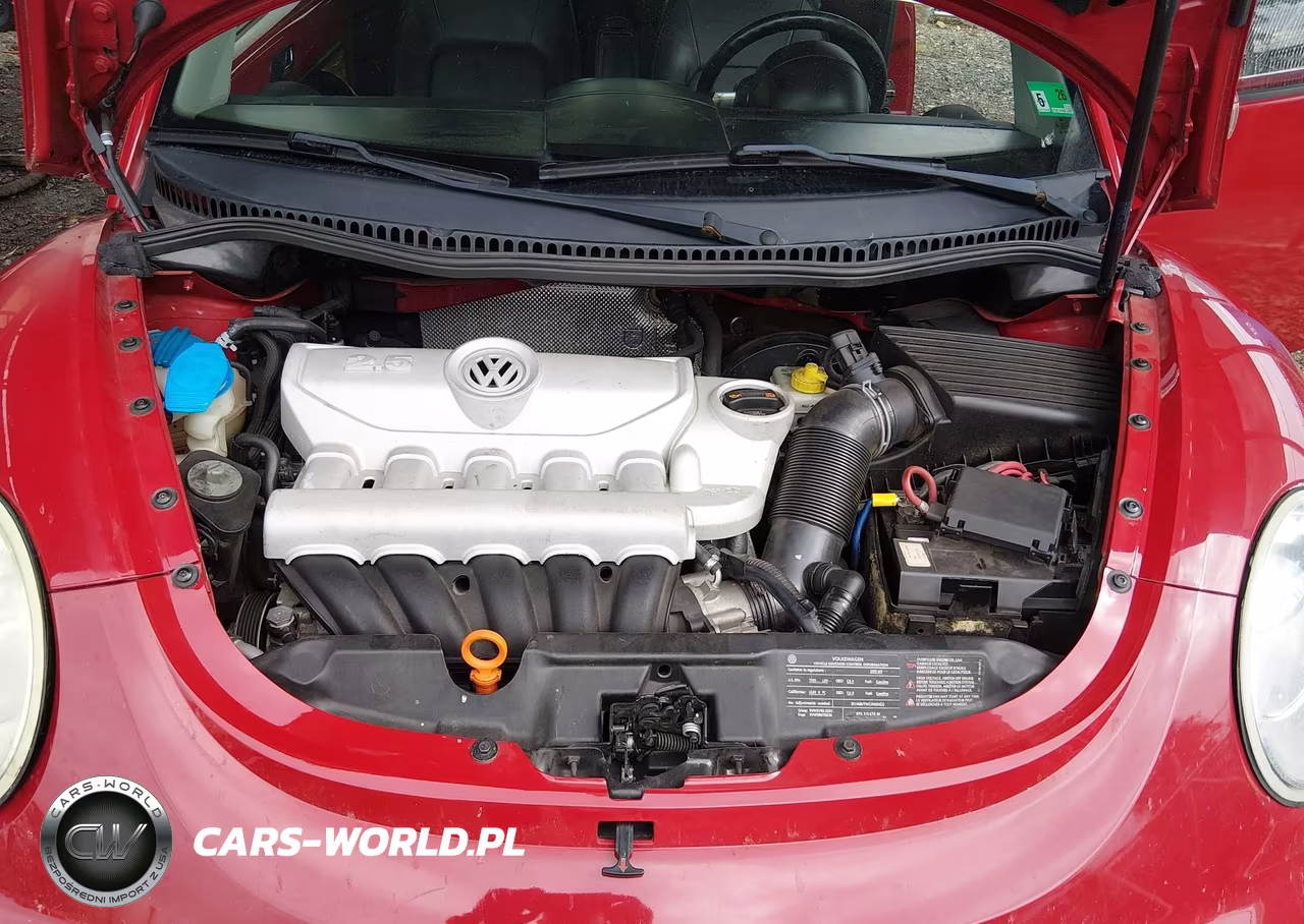 2009 Volkswagen New Beetle 2.5L VIN:3VWPW31C19M517483 - 10