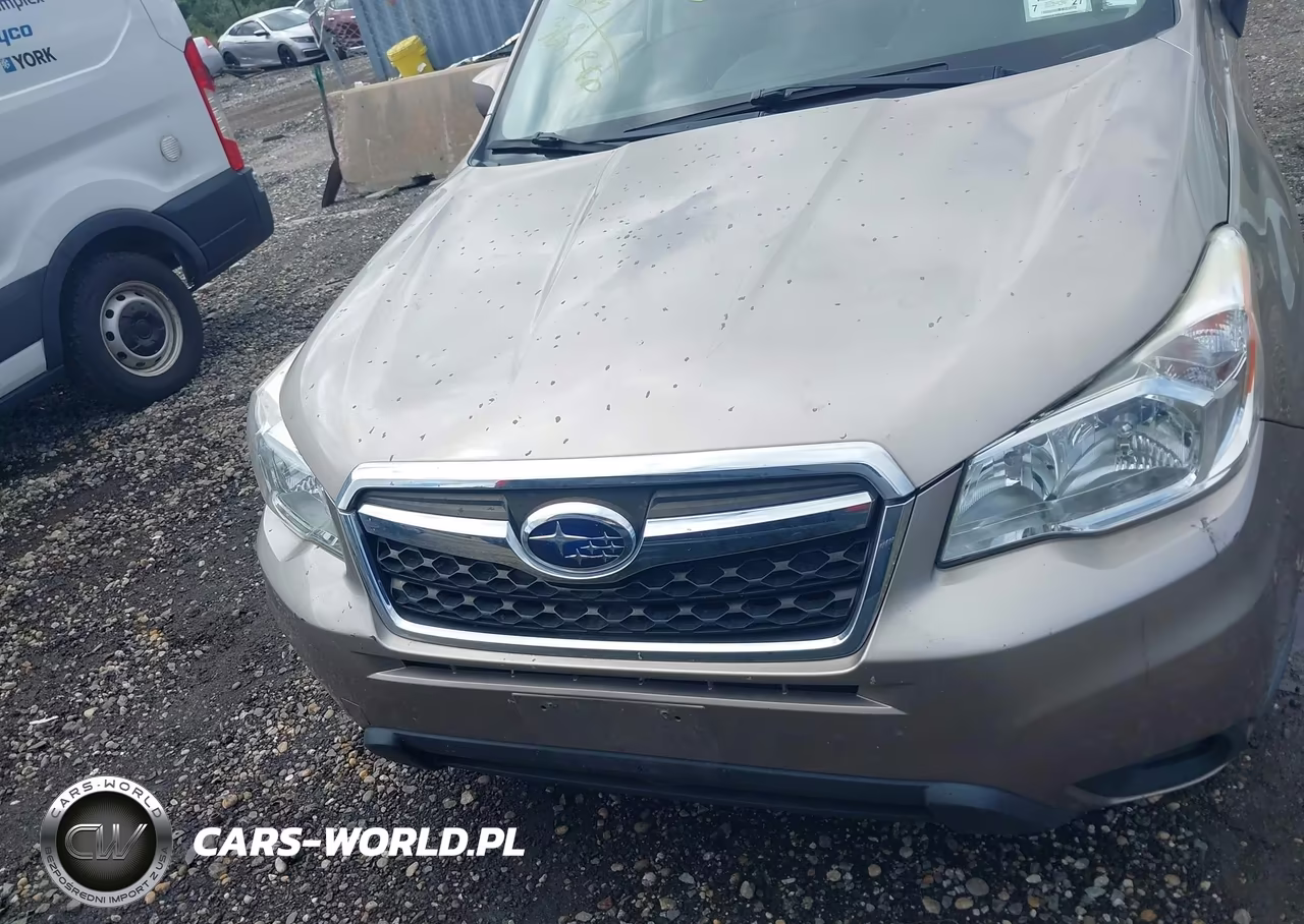 2016 Subaru Forester 2.5I Premium VIN:JF2SJADC4GH460517 - 12