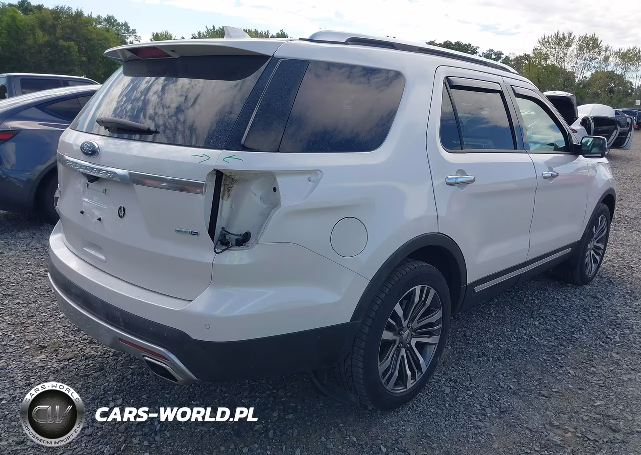 2016 Ford Explorer Platinum VIN:1FM5K8HT6GGA60164 - 4