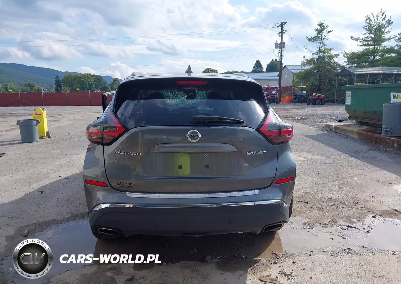 2020 Nissan Murano Sv Intelligent Awd VIN:5N1AZ2BSXLN127328 - 17