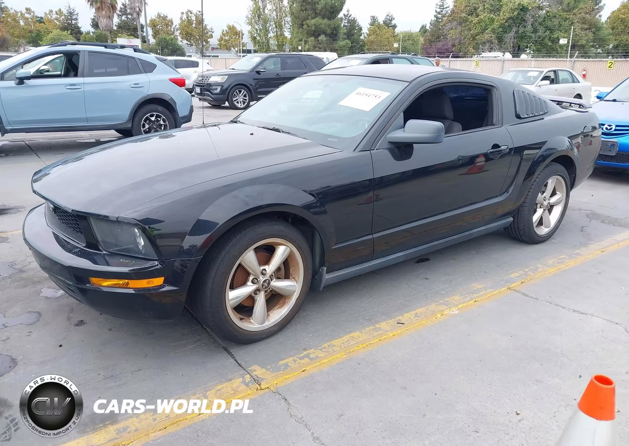 2005 Ford Mustang V6 Deluxe-V6 Premium VIN:1ZVFT80N755112653 - 2