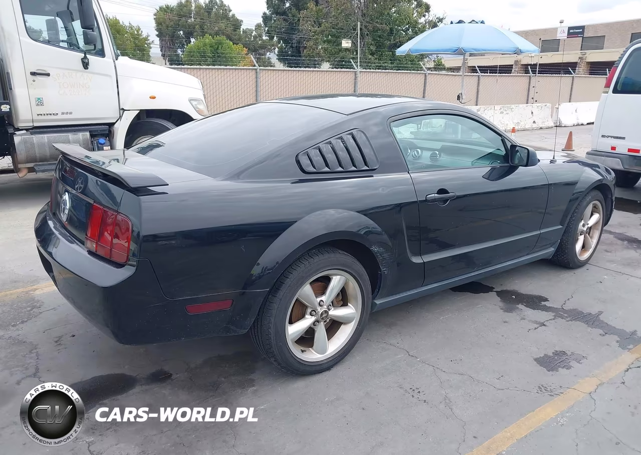 2005 Ford Mustang V6 Deluxe-V6 Premium VIN:1ZVFT80N755112653 - 4