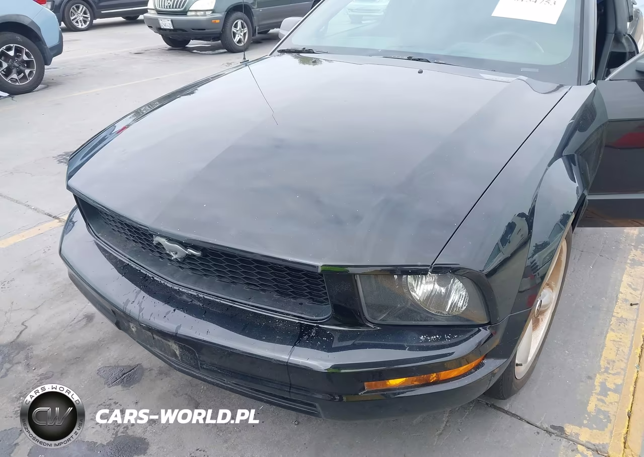 2005 Ford Mustang V6 Deluxe-V6 Premium VIN:1ZVFT80N755112653 - 6