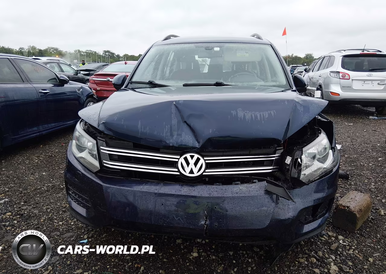 2016 Volkswagen Tiguan S VIN:WVGAV7AX7GW611303 - 12