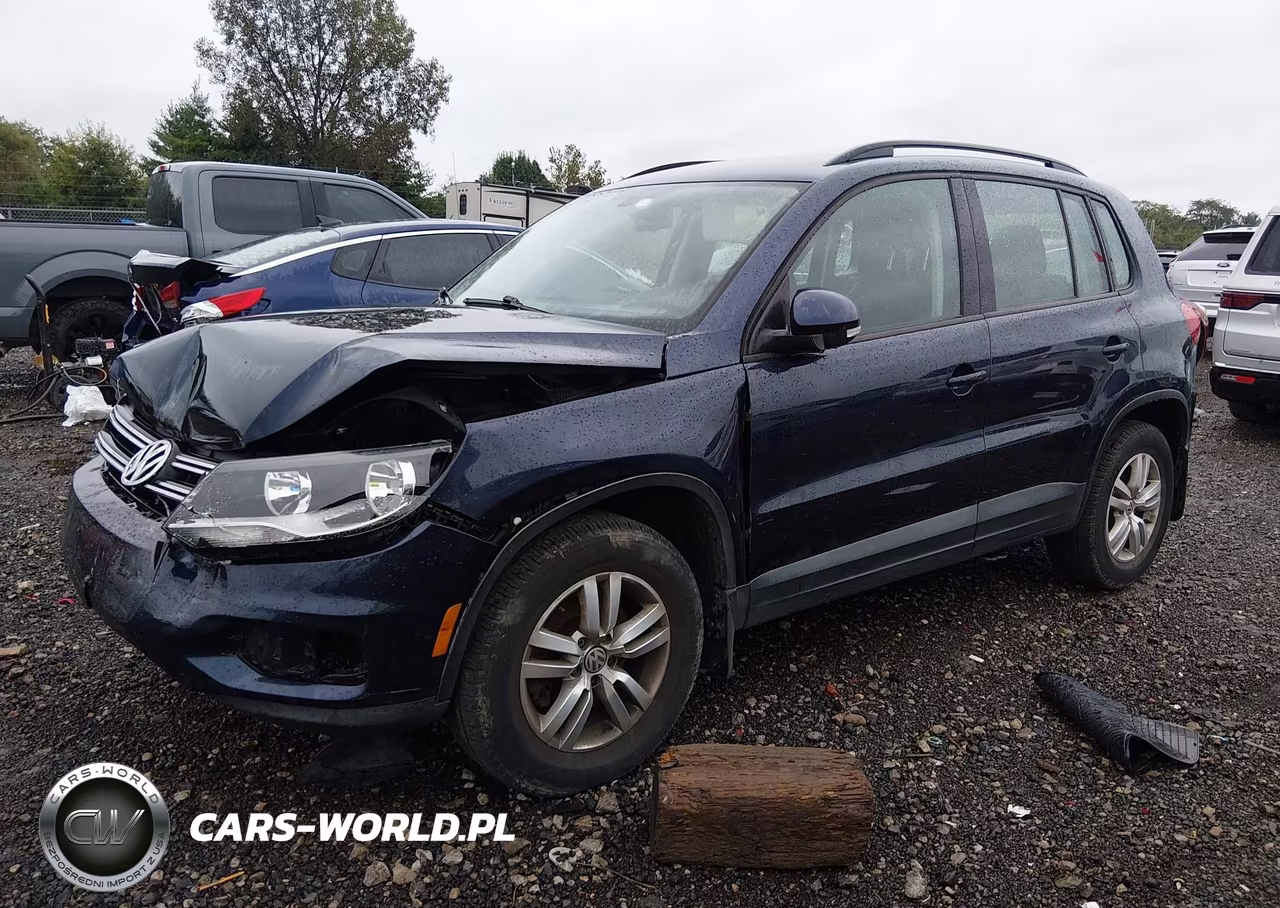 2016 Volkswagen Tiguan S VIN:WVGAV7AX7GW611303 - 2
