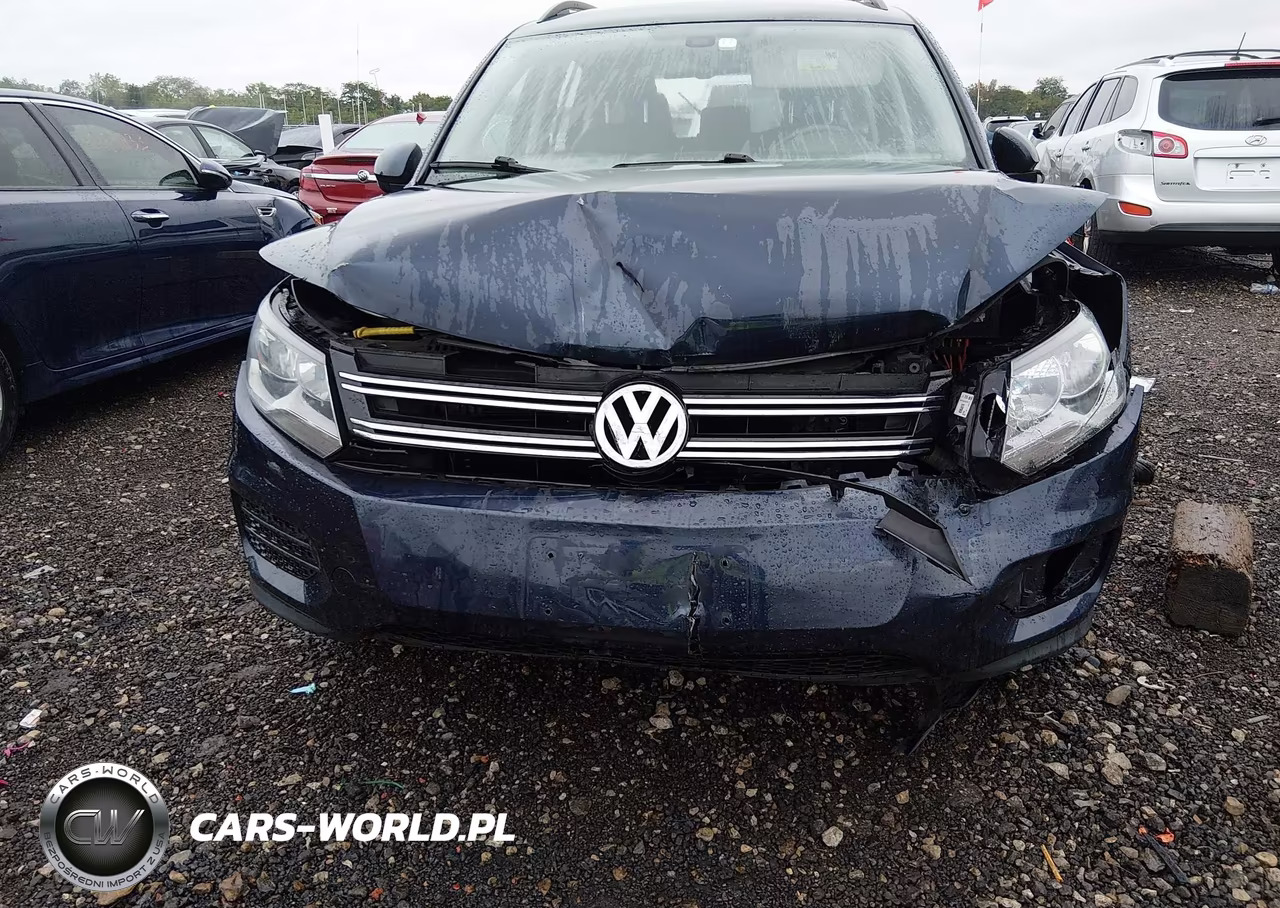 2016 Volkswagen Tiguan S VIN:WVGAV7AX7GW611303 - 6