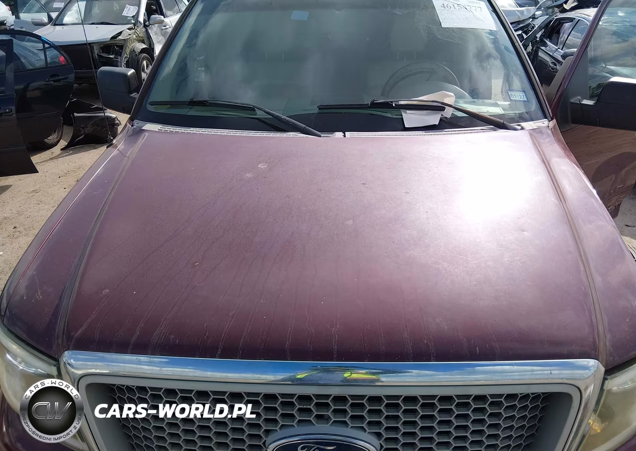2004 Ford F-150 Lariat-Xlt VIN:1FTPW12564KC06686 - 10
