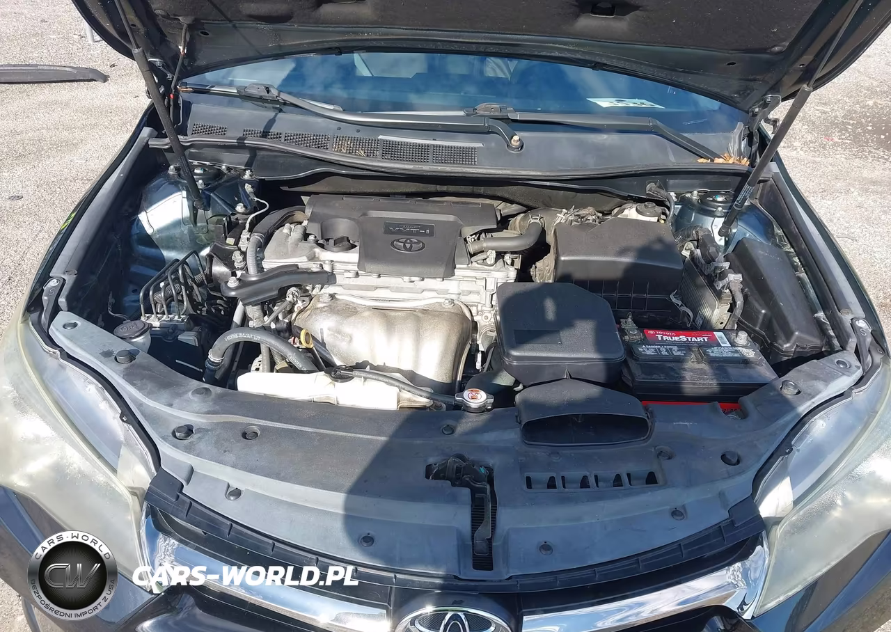 2017 Toyota Camry Se VIN:4T1BF1FK2HU290103 - 10