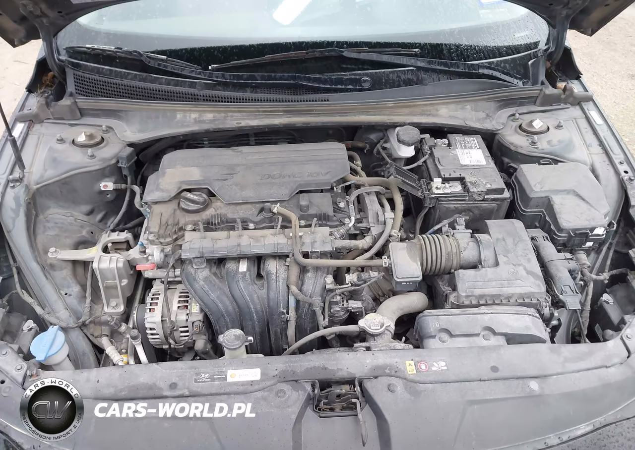 2021 Hyundai Elantra Limited VIN:KMHLP4AG4MU140025 - 10