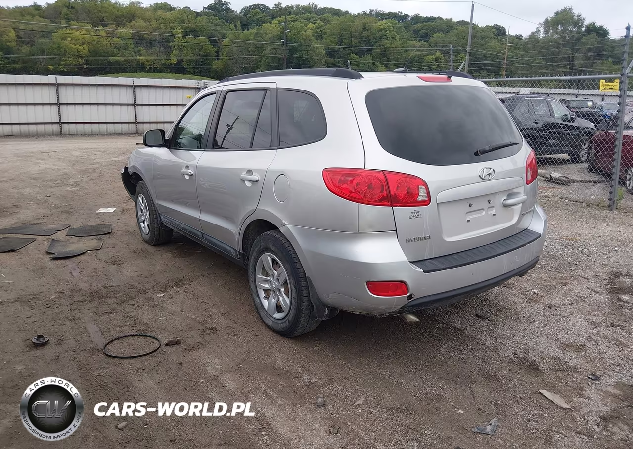 2009 Hyundai Santa Fe Gls VIN:5NMSG13D09H245855 - 3