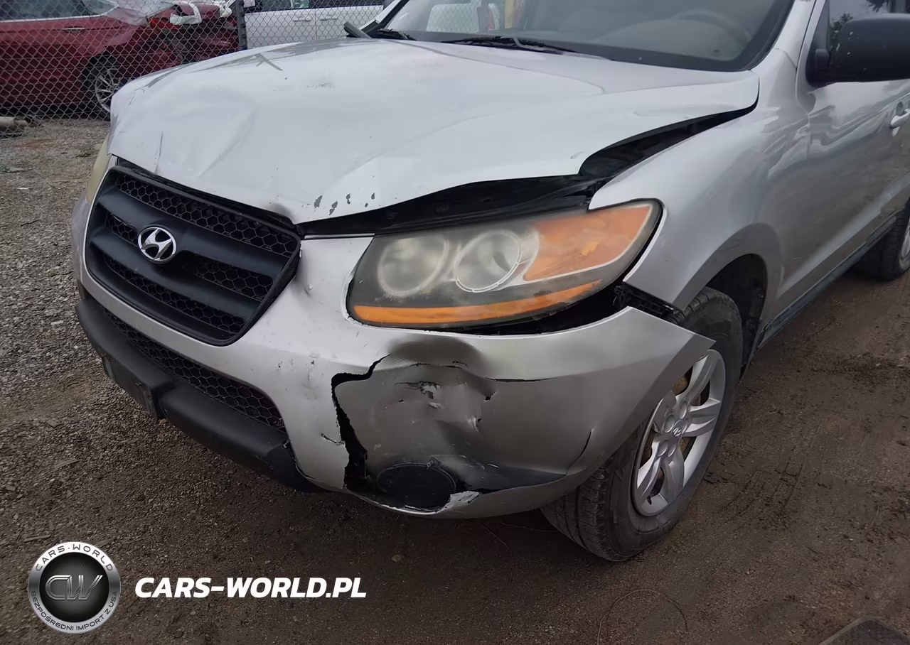 2009 Hyundai Santa Fe Gls VIN:5NMSG13D09H245855 - 6