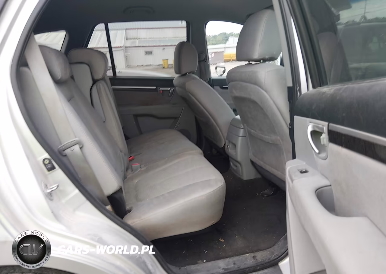 2009 Hyundai Santa Fe Gls VIN:5NMSG13D09H245855 - 8