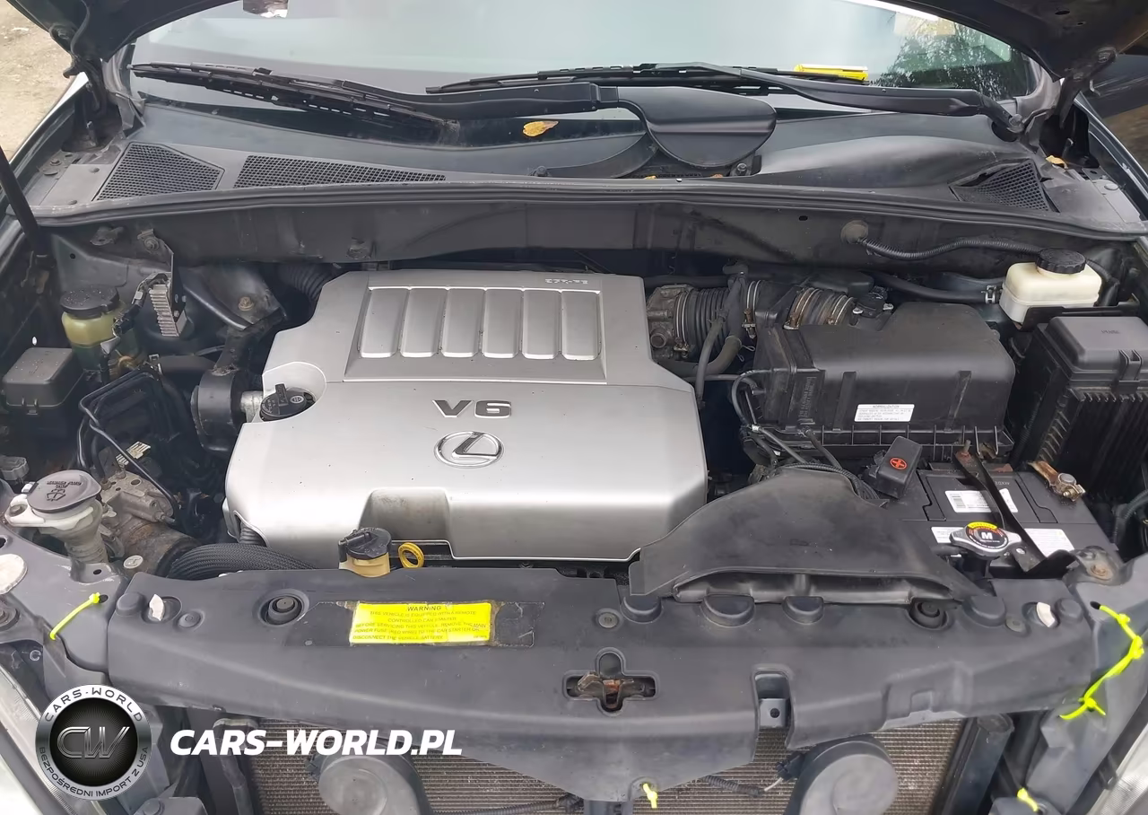 2007 Lexus Rx 350 VIN:2T2HK31U07C043751 - 10