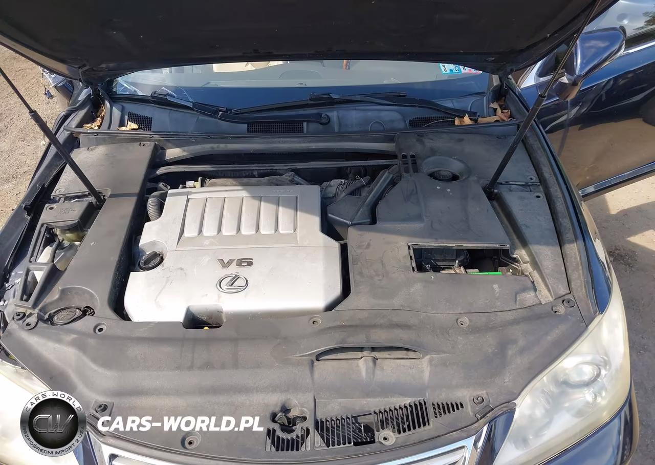2010 Lexus Es 350 VIN:JTHBK1EG0A2395218 - 10