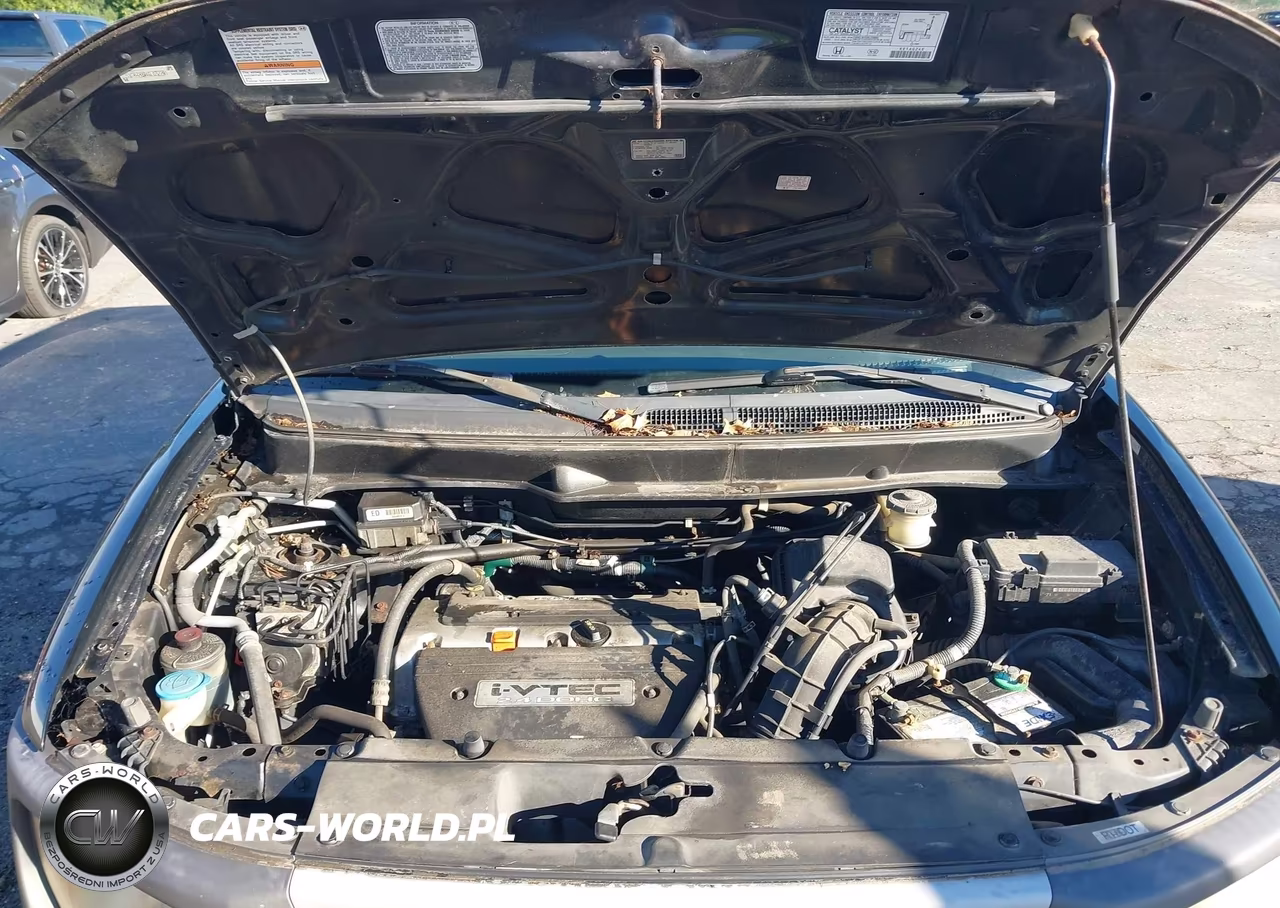 2003 Honda Element Ex VIN:5J6YH285X3L032281 - 10