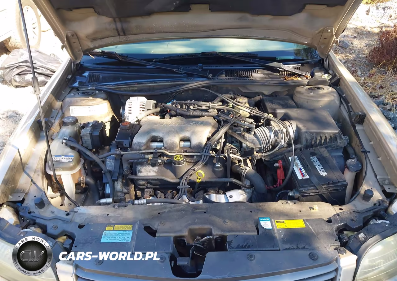 2001 Chevrolet Malibu VIN:1G1ND52J316264186 - 10