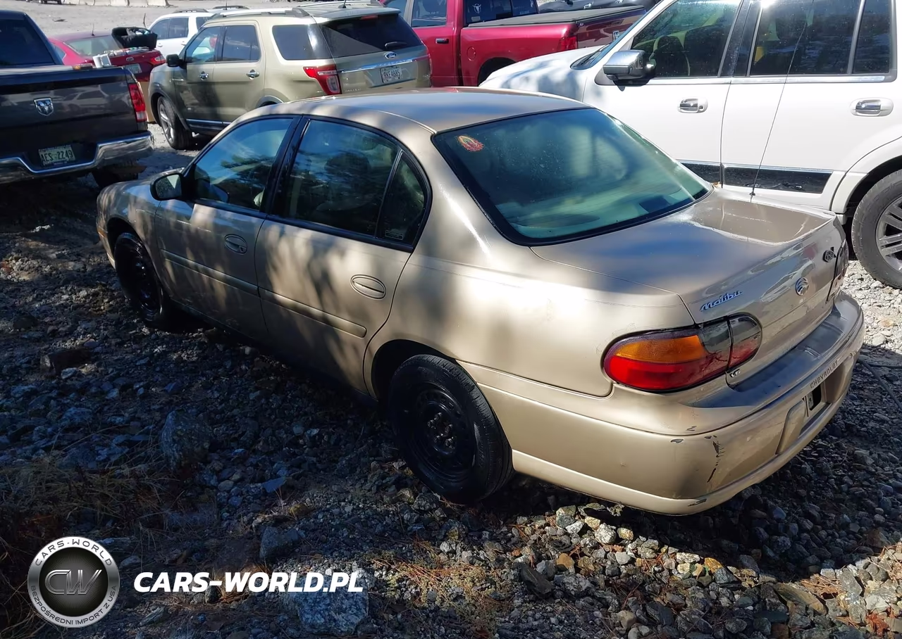 2001 Chevrolet Malibu VIN:1G1ND52J316264186 - 3