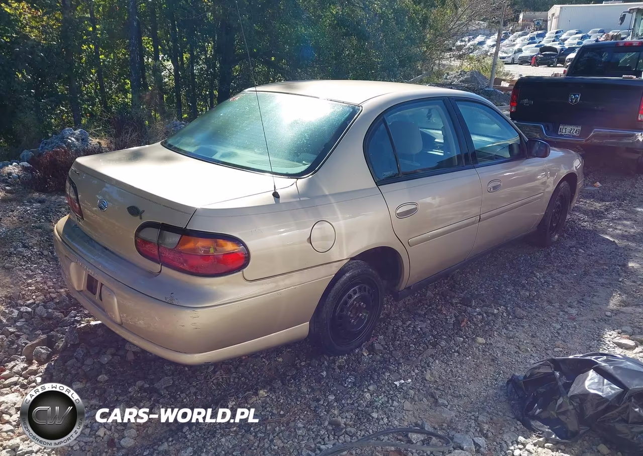 2001 Chevrolet Malibu VIN:1G1ND52J316264186 - 4