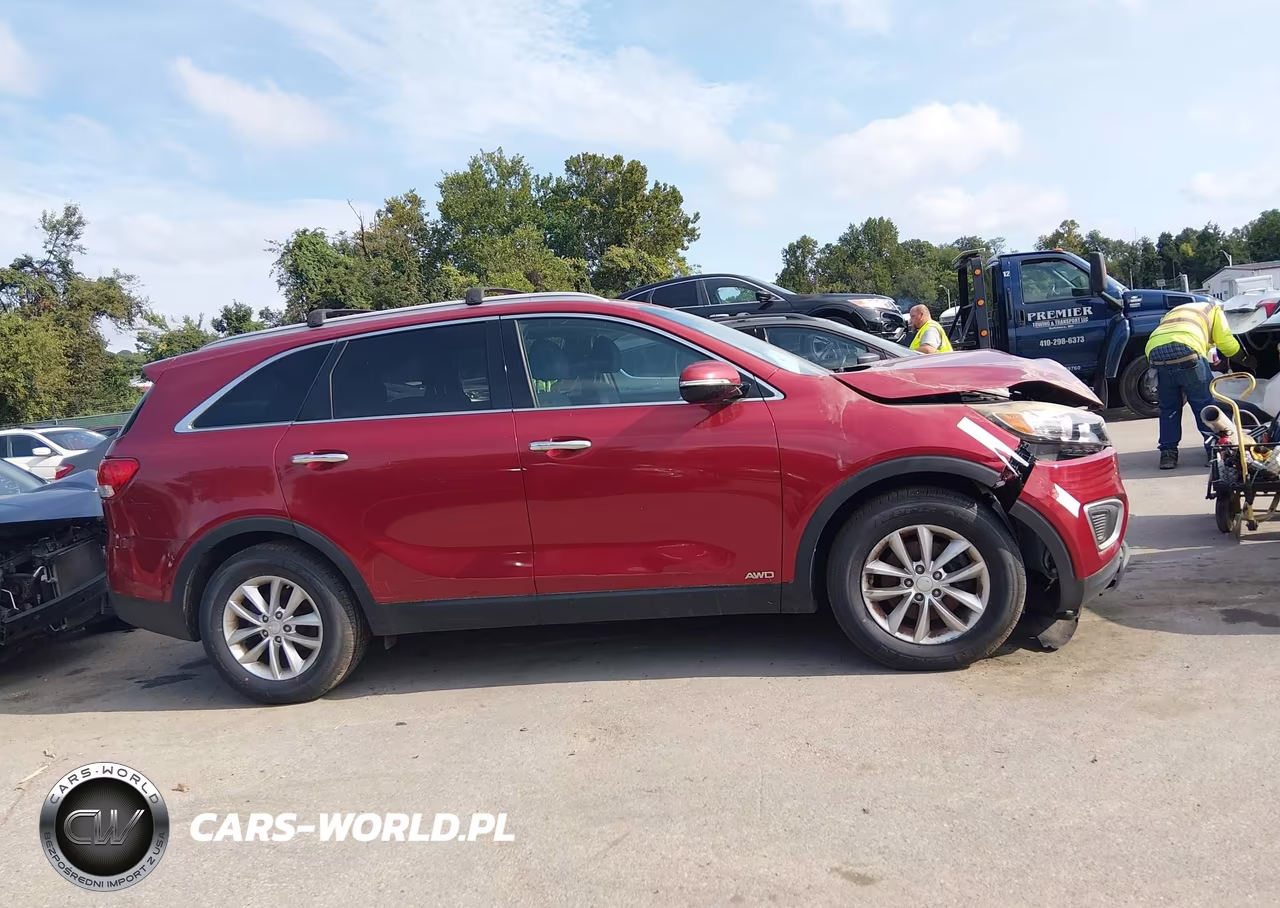 2018 Kia Sorento 2.4L Lx VIN:5XYPGDA35JG402764 - 13