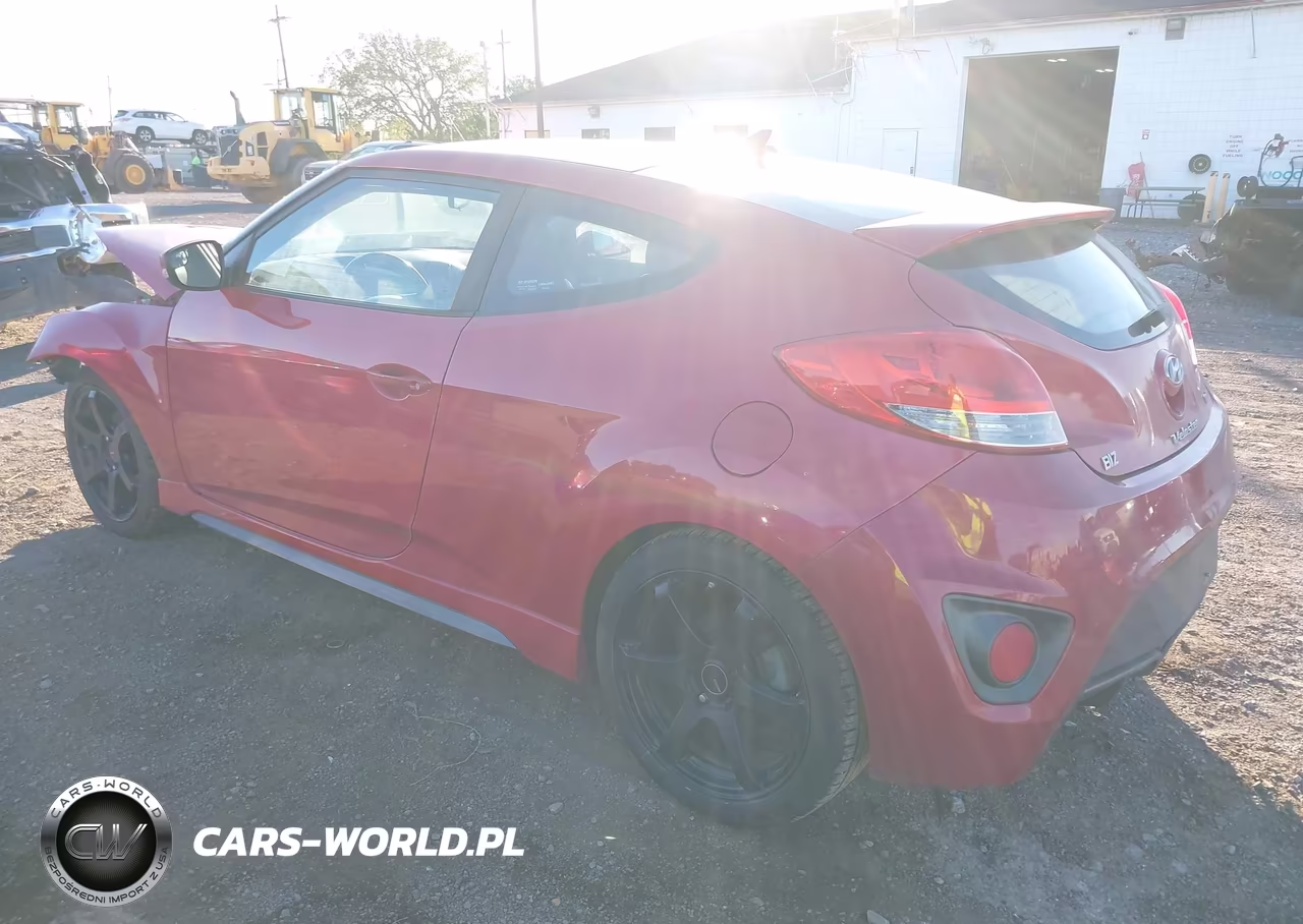 2015 Hyundai Veloster Turbo VIN:KMHTC6AE9FU233390 - 3