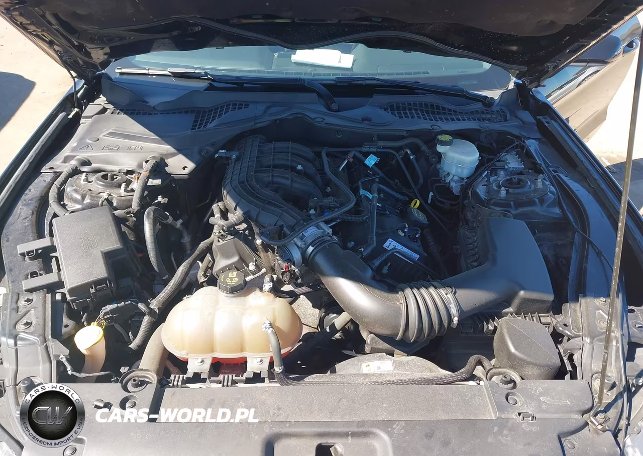 2017 Ford Mustang V6 VIN:1FA6P8AM2H5240693 - 10