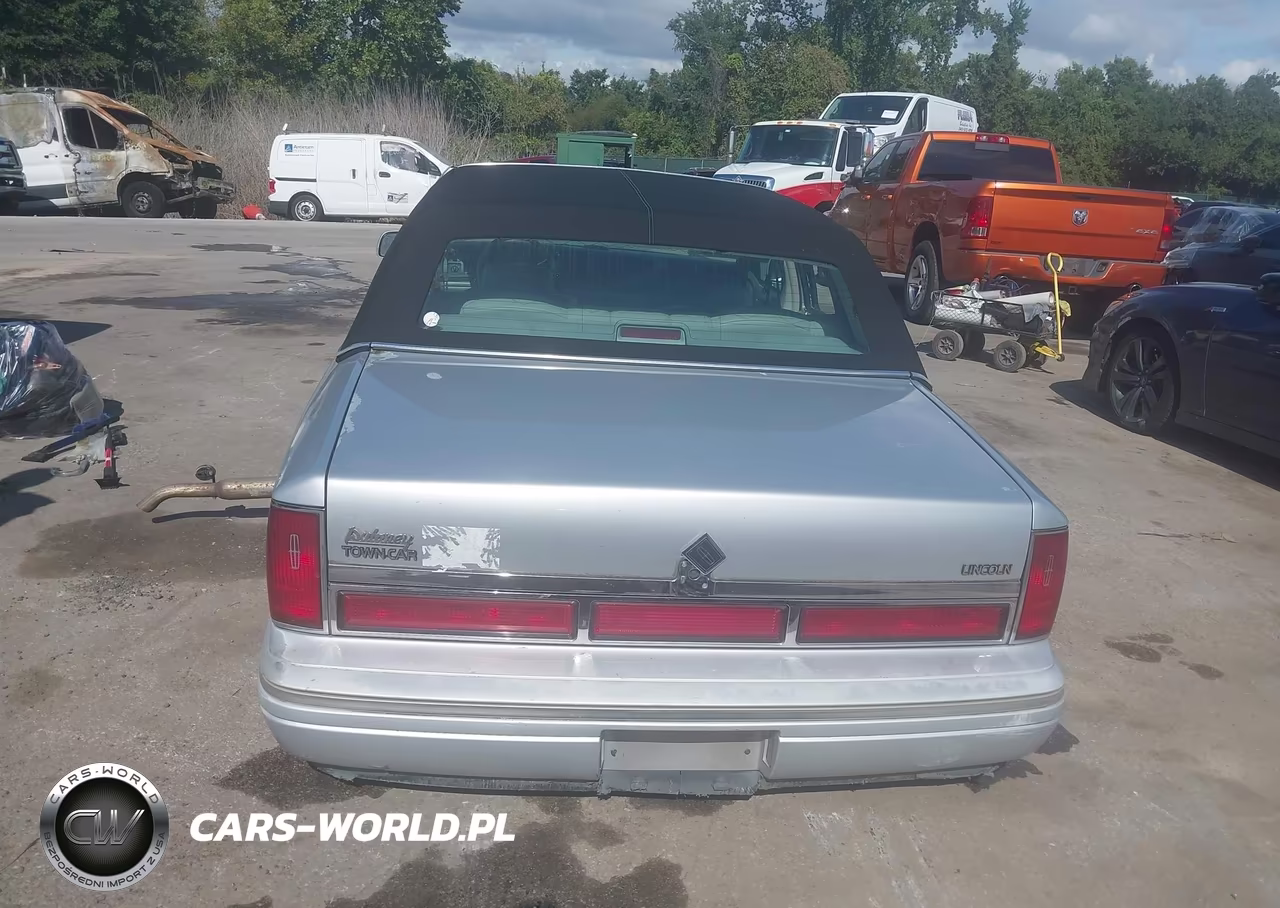 1996 Lincoln Town Car Sgn-Dmnd Anv-Cypress-Jn VIN:1LNLM82W1TY721480 - 17