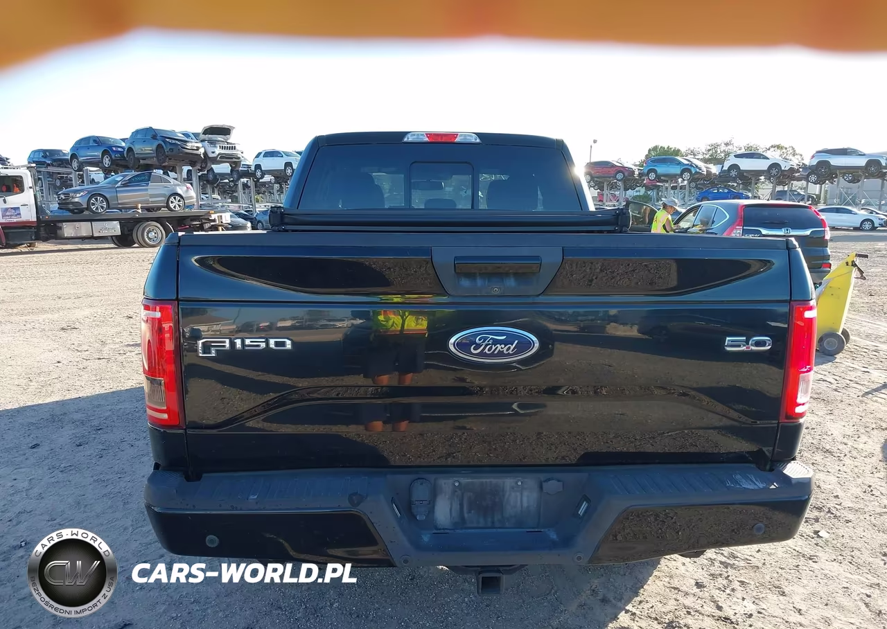 2016 Ford F-150 Xlt VIN:1FTEX1CF3GKG05393 - 16