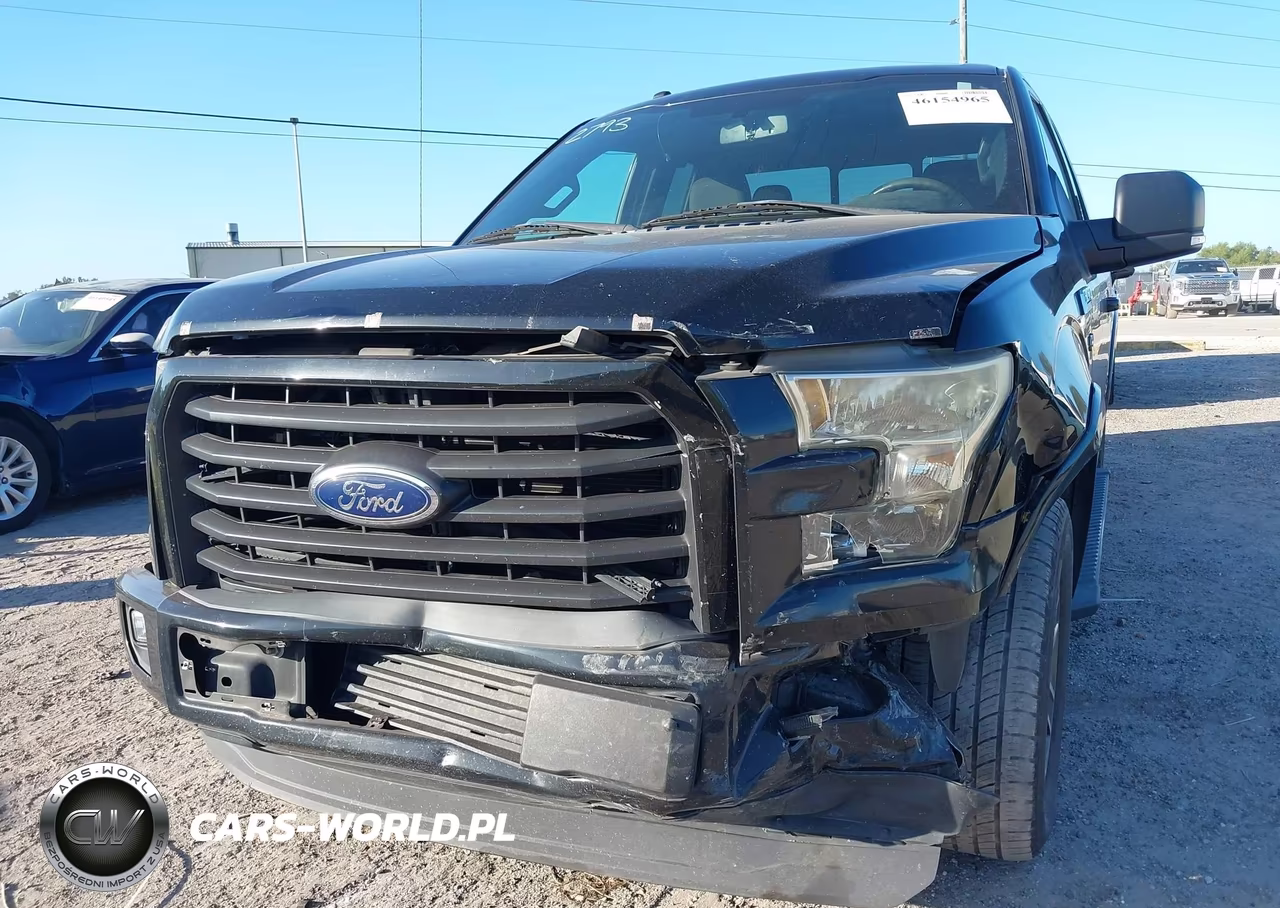 2016 Ford F-150 Xlt VIN:1FTEX1CF3GKG05393 - 6