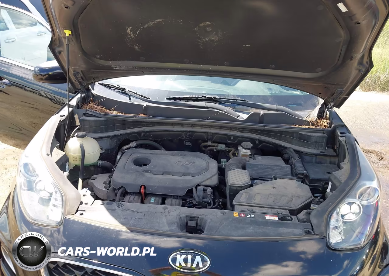 2020 Kia Sportage Lx VIN:KNDPMCACXL7747310 - 10