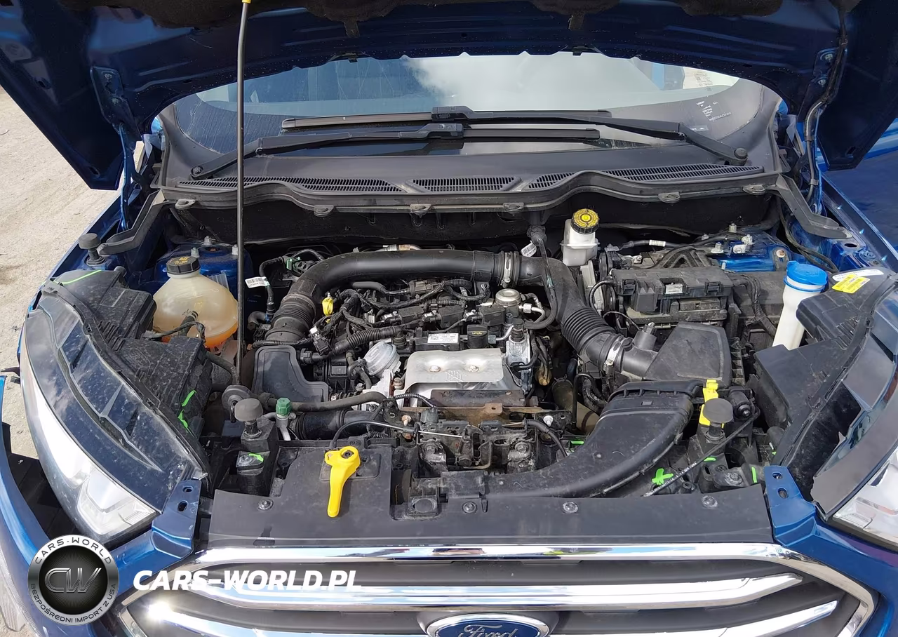 2020 Ford Ecosport Se VIN:MAJ3S2GEXLC341810 - 10