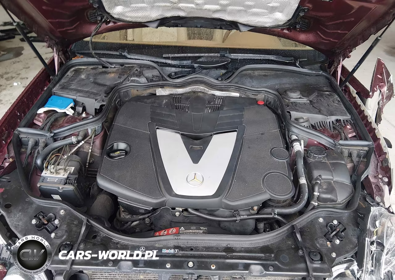 2008 Mercedes-Benz E 320 Bluetec VIN:WDBUF22X38B220527 - 10