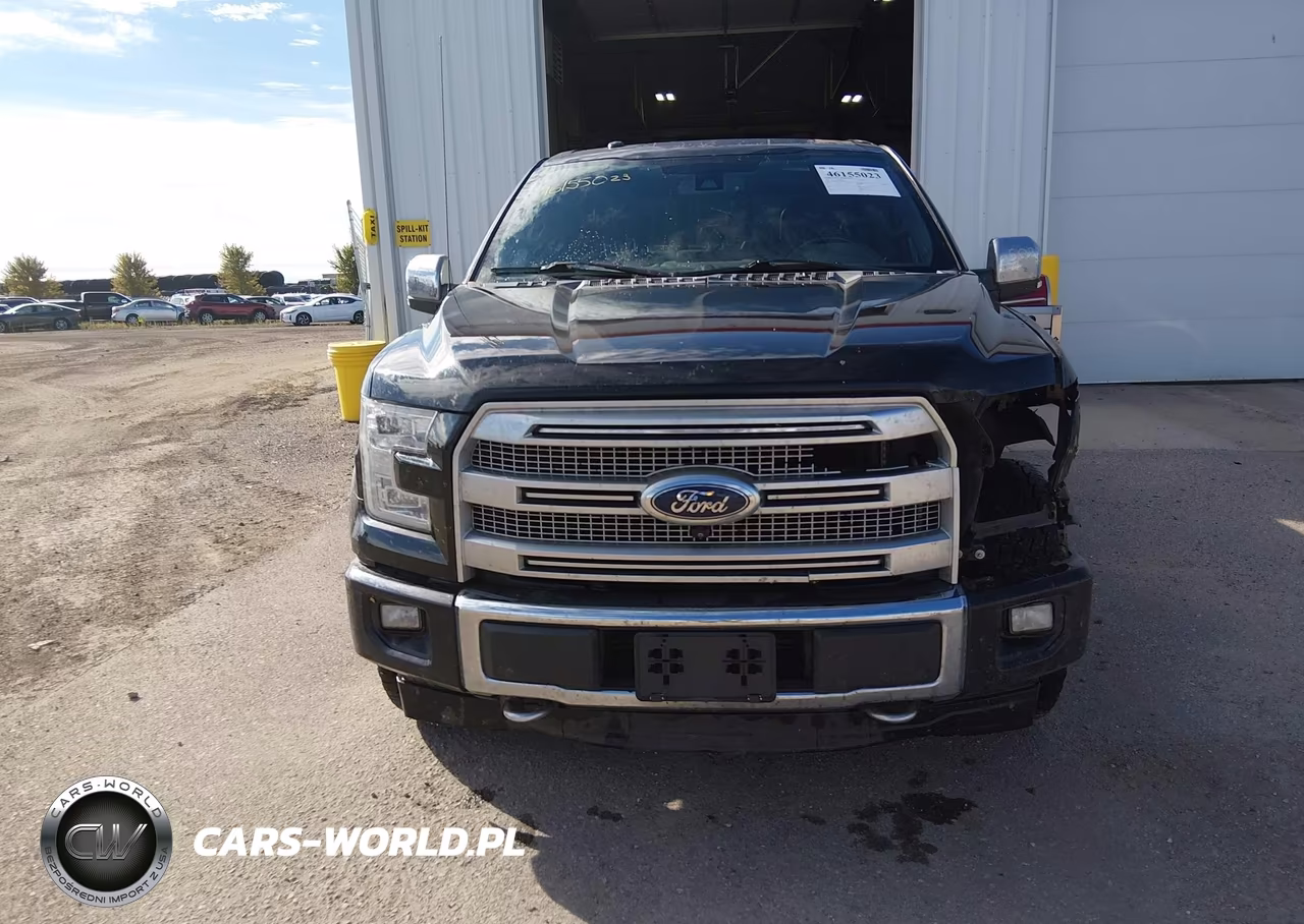 2017 Ford F-150 Platinum VIN:1FTEW1EG8HFA00028 - 12