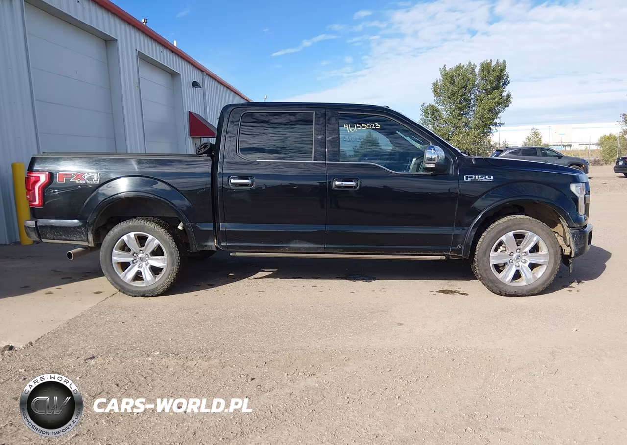 2017 Ford F-150 Platinum VIN:1FTEW1EG8HFA00028 - 13