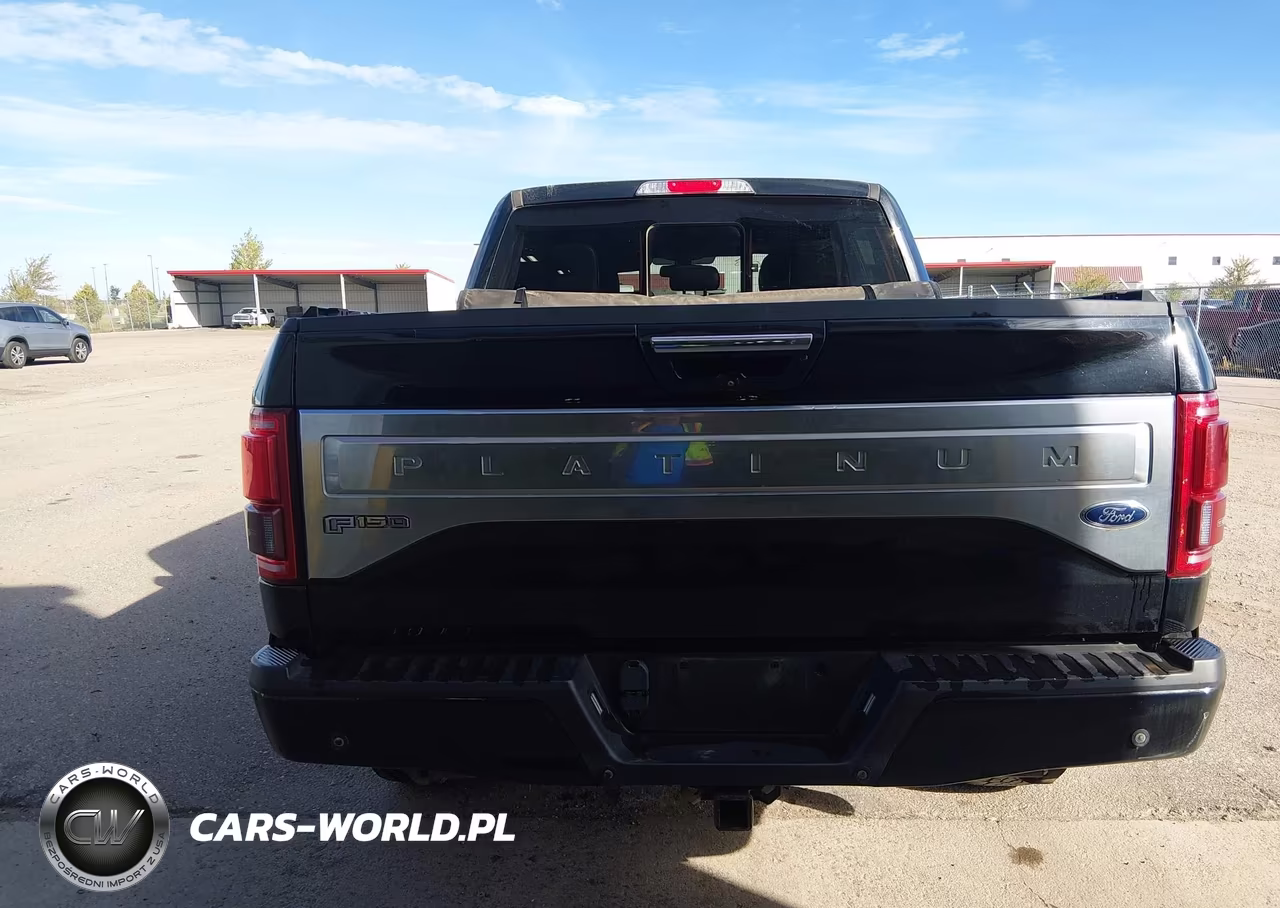 2017 Ford F-150 Platinum VIN:1FTEW1EG8HFA00028 - 15