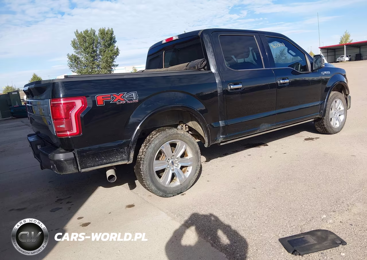 2017 Ford F-150 Platinum VIN:1FTEW1EG8HFA00028 - 3