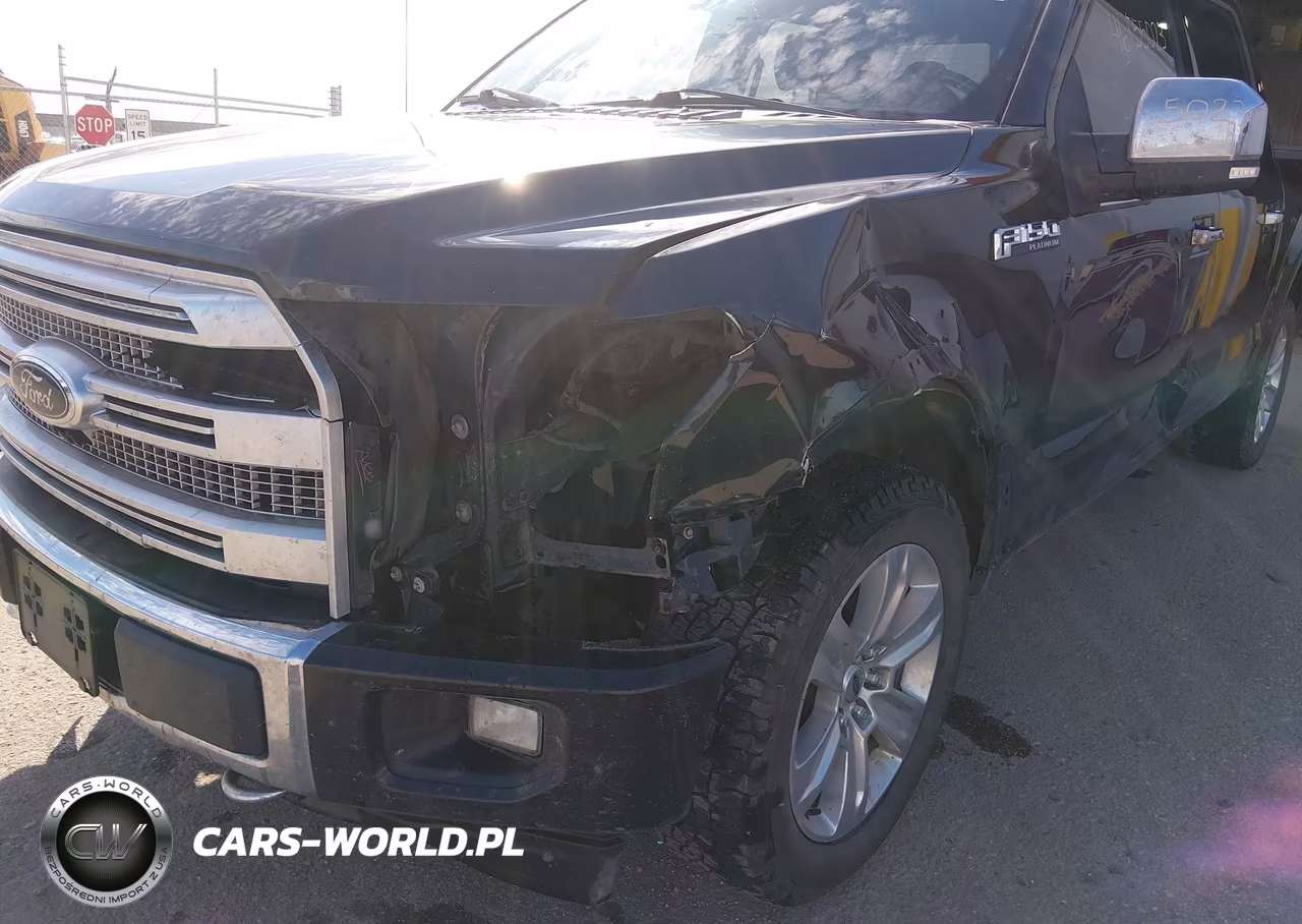 2017 Ford F-150 Platinum VIN:1FTEW1EG8HFA00028 - 5