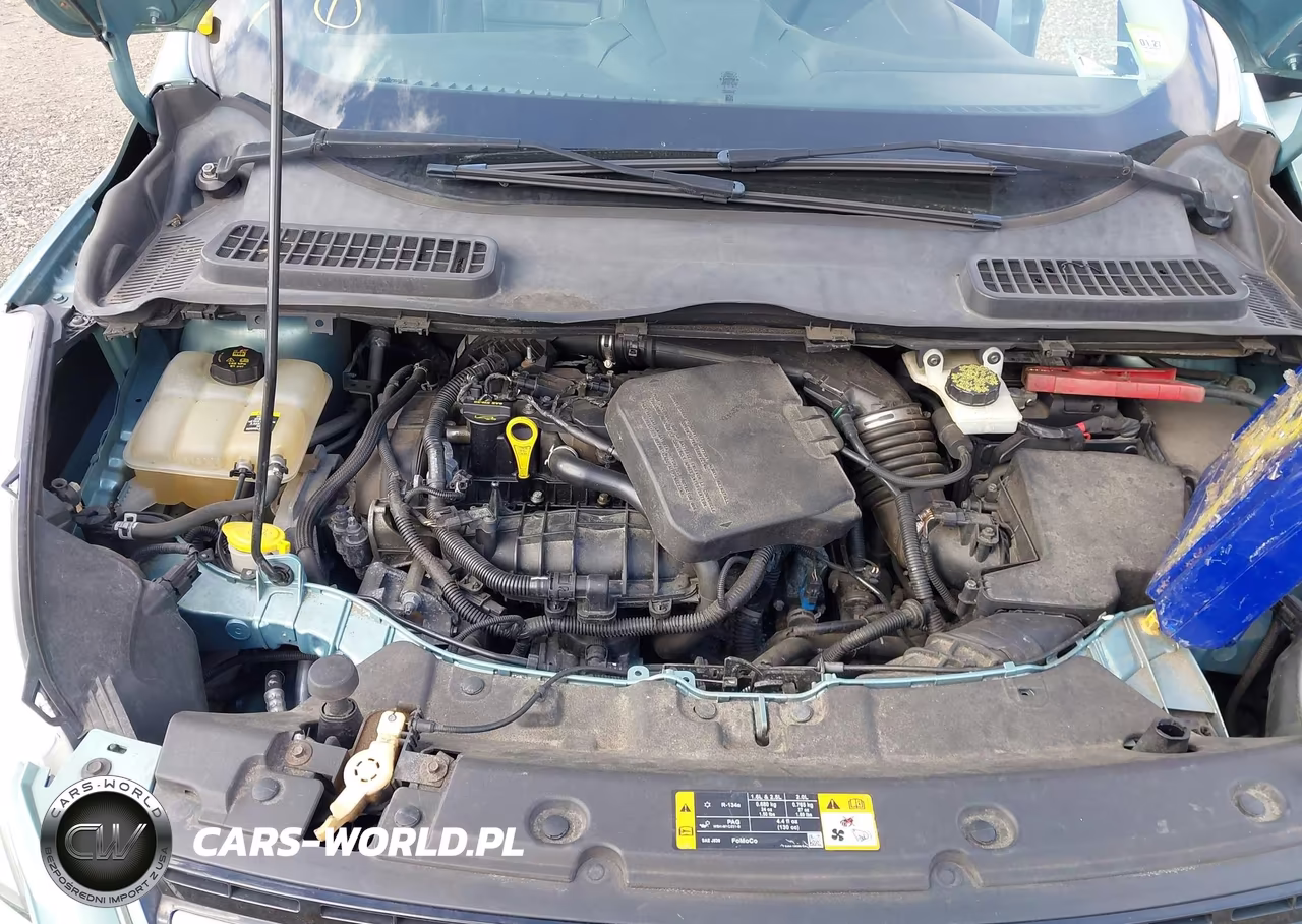 2013 Ford Escape Sel VIN:1FMCU0HX6DUB50000 - 10