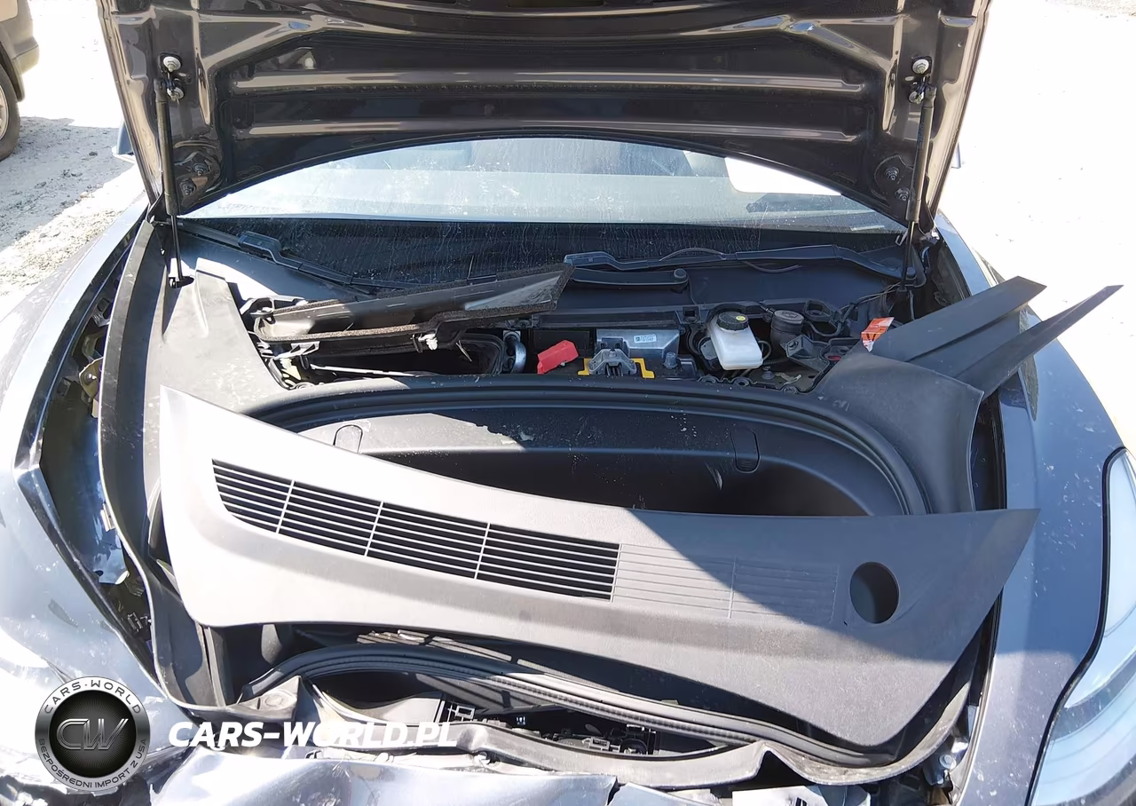2019 Tesla Model 3 Long Range-Mid Range-Standard Range-Standard Range Plus VIN:5YJ3E1EA8KF308091 - 10