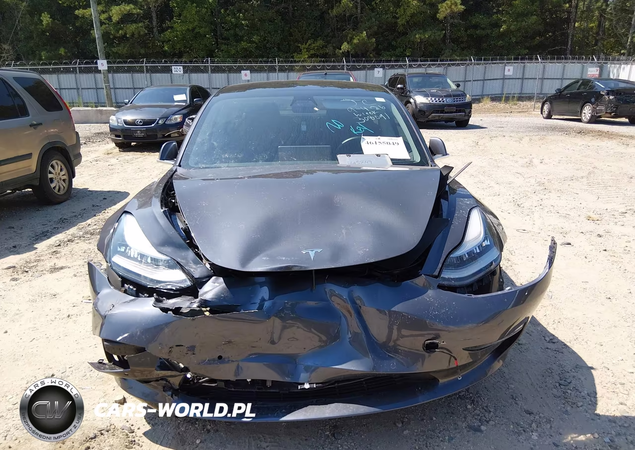 2019 Tesla Model 3 Long Range-Mid Range-Standard Range-Standard Range Plus VIN:5YJ3E1EA8KF308091 - 12