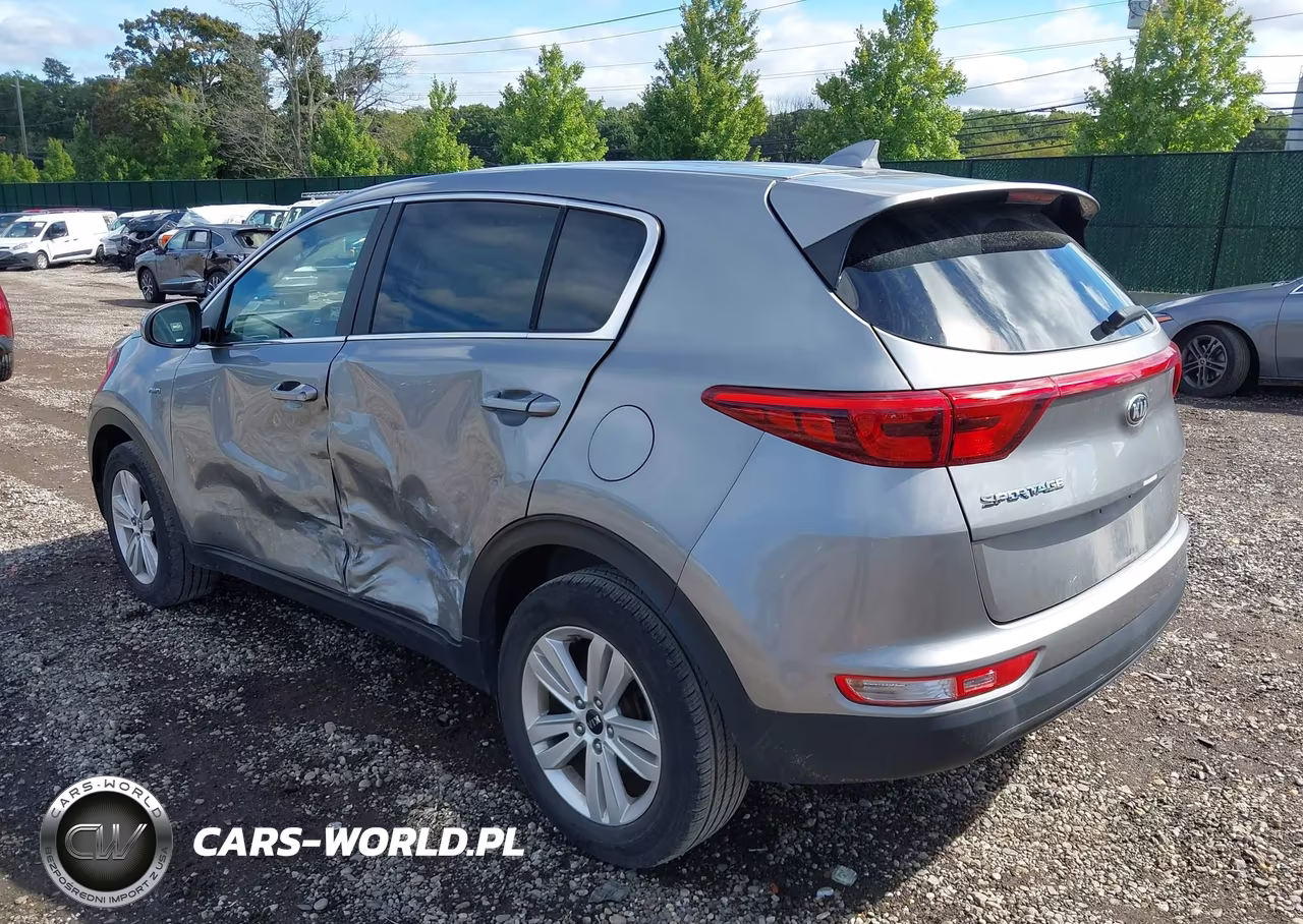 2019 Kia Sportage Lx VIN:KNDPMCAC2K7602969 - 3