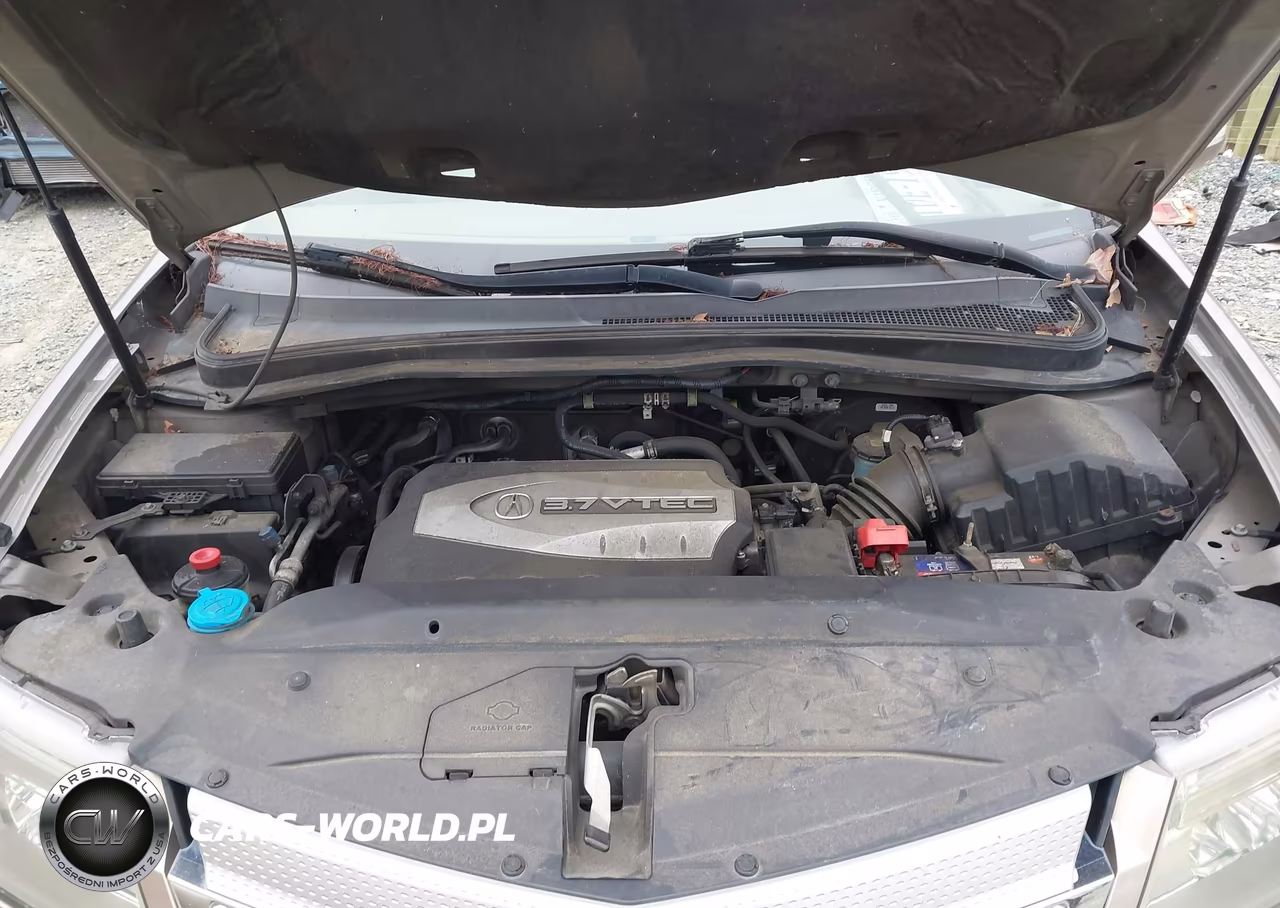 2009 Acura Mdx Technology Package VIN:2HNYD28669H506396 - 10