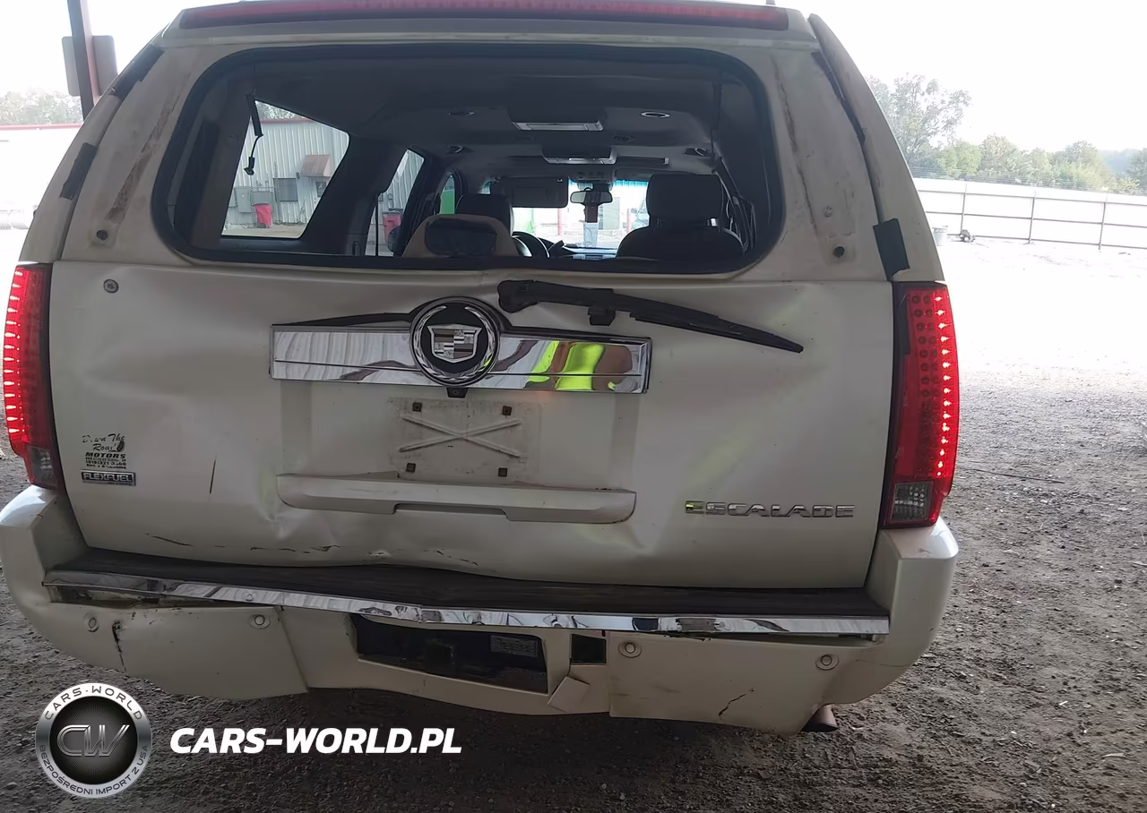 2009 Cadillac Escalade Esv Standard VIN:1GYFK26209R177126 - 17