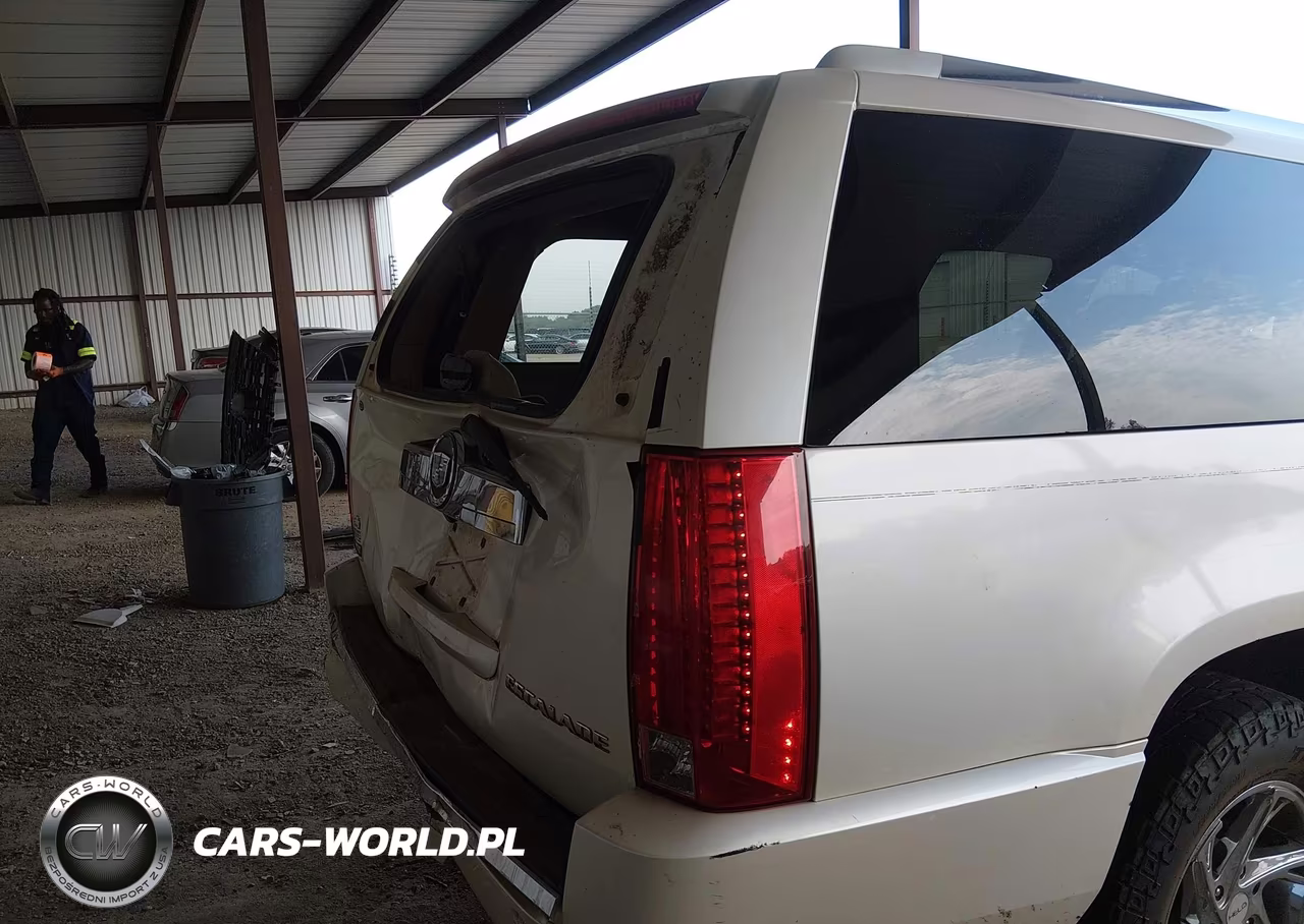 2009 Cadillac Escalade Esv Standard VIN:1GYFK26209R177126 - 18