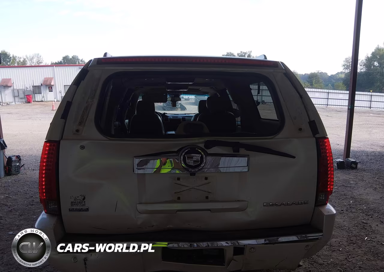2009 Cadillac Escalade Esv Standard VIN:1GYFK26209R177126 - 6