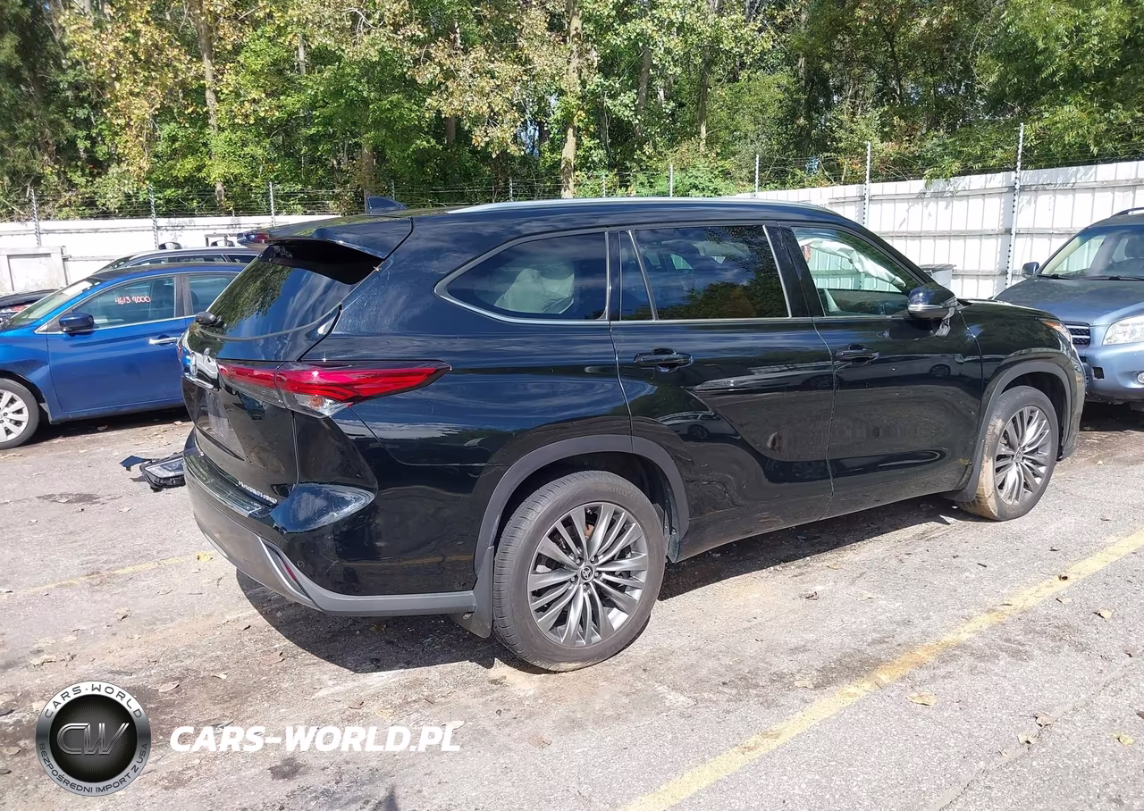 2020 Toyota Highlander Platinum VIN:5TDFZRBH5LS038560 - 4