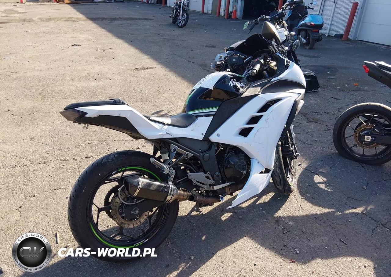 2016 Kawasaki Ex300 B VIN:JKAEX8B16GDA28326 - 4