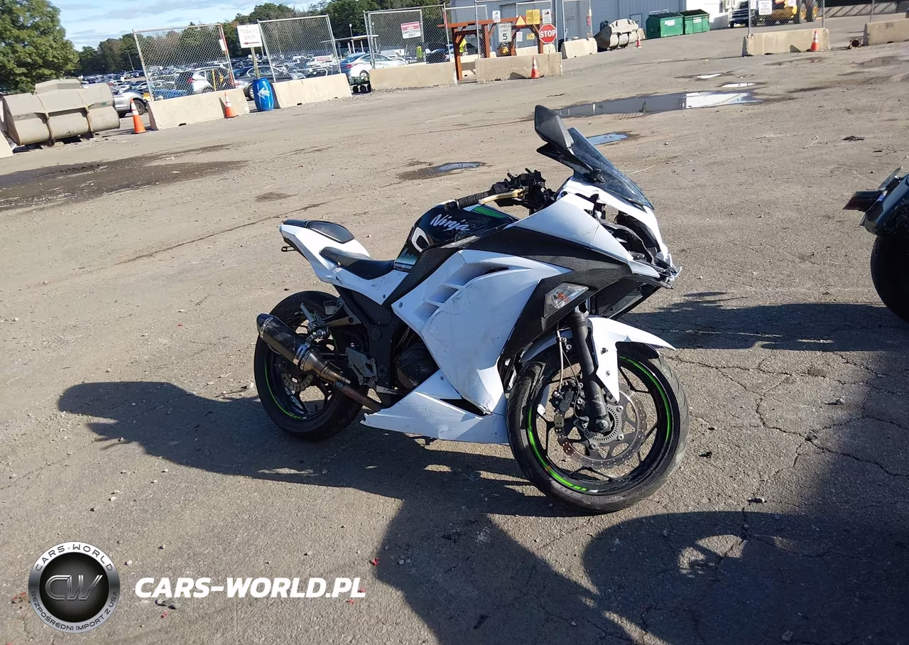 2016 Kawasaki Ex300 B VIN:JKAEX8B16GDA28326 - 8
